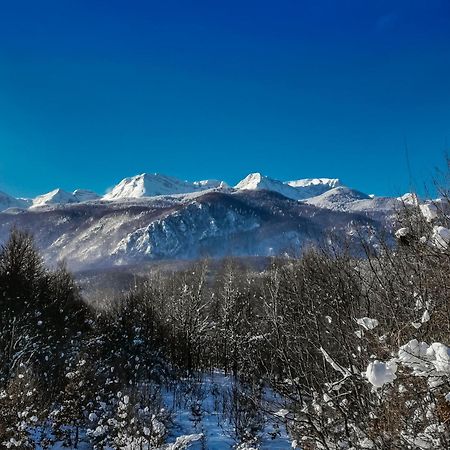 Vila Treehouse Lika 2 Medak Exteriér fotografie