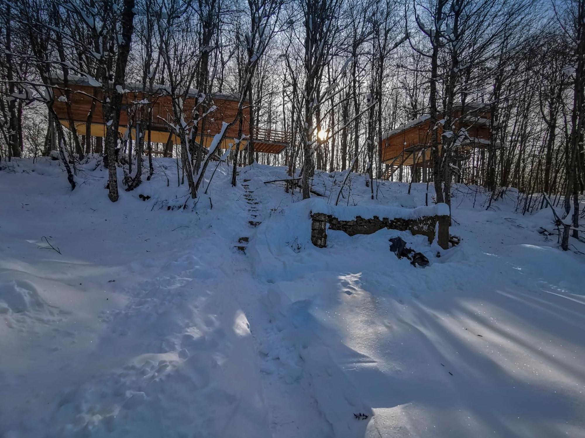 Vila Treehouse Lika 2 Medak Exteriér fotografie