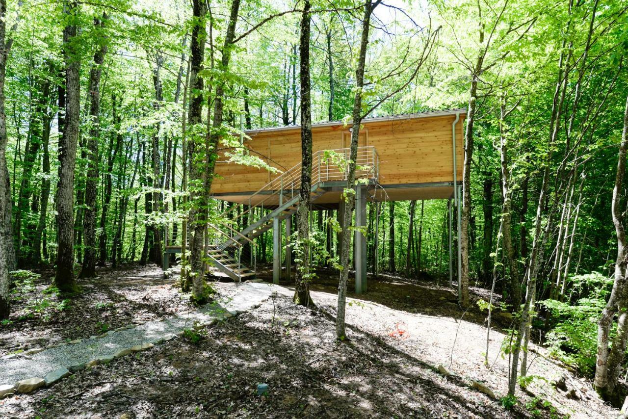 Vila Treehouse Lika 2 Medak Exteriér fotografie